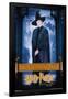 Harry Potter and the Philosopher's Stone - McGonagall-Trends International-Framed Poster