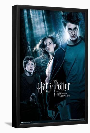 Harry Potter and the Prisoner of Azkaban - Forest One Sheet-Trends International-Framed Poster