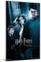 Harry Potter and the Prisoner of Azkaban - Forest One Sheet-Trends International-Mounted Poster