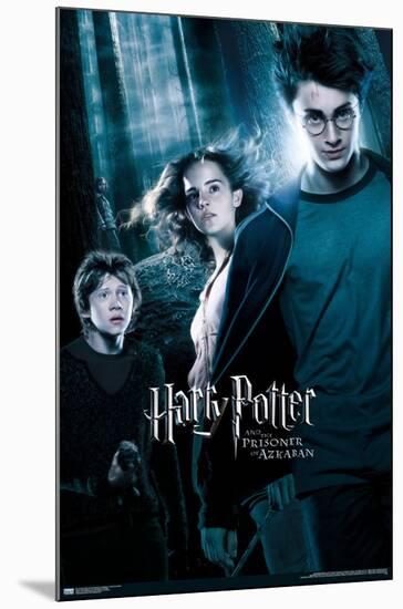 Harry Potter and the Prisoner of Azkaban - Forest One Sheet-Trends International-Mounted Poster