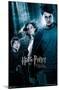 Harry Potter and the Prisoner of Azkaban - Forest One Sheet-Trends International-Mounted Poster