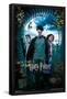 Harry Potter and the Prisoner of Azkaban - Sky One Sheet-Trends International-Framed Poster