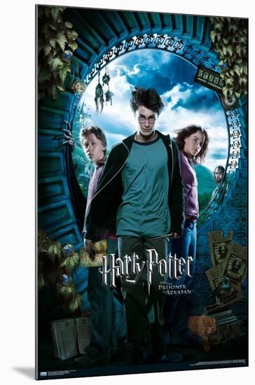 Harry Potter and the Prisoner of Azkaban - Sky One Sheet-Trends International-Mounted Poster