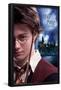 Harry Potter and the Prisoner of Azkaban - Wand One Sheet-Trends International-Framed Poster