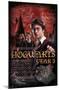 Harry Potter and the Prisoner of Azkaban - Year 3-Trends International-Mounted Poster