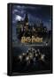 Harry Potter and the Sorcerer's Stone - Castle One Sheet-Trends International-Framed Poster