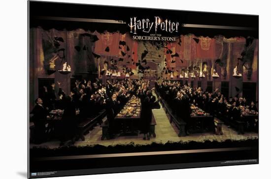 Harry Potter and the Sorcerer's Stone - Celebration-Trends International-Mounted Poster