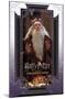 Harry Potter and the Sorcerer's Stone - Dumbledore Wise-Trends International-Mounted Poster