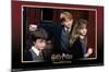 Harry Potter and the Sorcerer's Stone - Group-Trends International-Mounted Poster