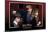 Harry Potter and the Sorcerer's Stone - Group-Trends International-Mounted Poster