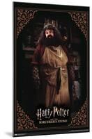 Harry Potter and the Sorcerer's Stone - Hagrid Cooking-Trends International-Mounted Poster
