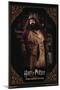 Harry Potter and the Sorcerer's Stone - Hagrid Cooking-Trends International-Mounted Poster