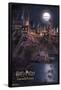 Harry Potter And The Sorcerer'S Stone - Hogwarts At Night-Trends International-Framed Poster