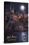 Harry Potter And The Sorcerer'S Stone - Hogwarts At Night-Trends International-Stretched Canvas