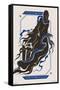 Harry Potter: Darker Arts - Dementor-Trends International-Framed Stretched Canvas