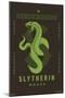 Harry Potter: Darker Arts - Slytherin House-Trends International-Mounted Poster