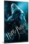 HARRY POTTER - DUMBLEDORE HALF BLOOD-null-Mounted Poster