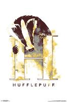 HARRY POTTER - HUFFLEPUFF ILLUSTRATED-null-Lamina Framed Poster