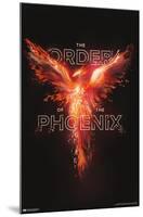 Harry Potter - Order of the Phoenix Magic-Trends International-Mounted Poster