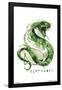 HARRY POTTER - SLYTHERIN ILLUSTRATED-null-Framed Poster