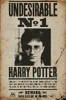 Harry Potter - Undesirable No 1-null-Lamina Framed Poster