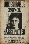 Harry Potter - Undesirable No 1-null-Lamina Framed Poster