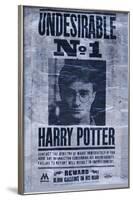 Harry Potter - Undesirable-null-Framed Standard Poster