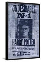 Harry Potter - Undesirable-null-Framed Standard Poster