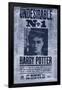 Harry Potter - Undesirable-null-Framed Standard Poster