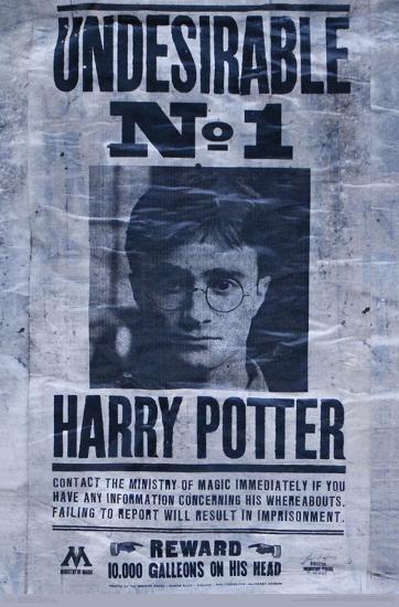 HARRY POTTER - UNDESIRABLE-null-Lamina Framed Poster