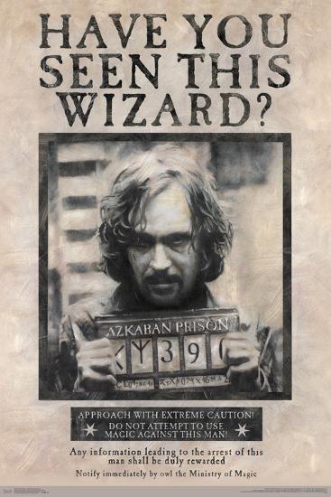 HARRY POTTER - WANTED SIRIUS BLACK-null-Lamina Framed Poster