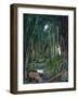 Hart and Soul-Carol Salas-Framed Giclee Print