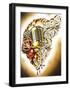 Hart & Soul-Tyler Bredeweg-Framed Art Print