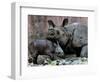 Hartali, a Rhinoceros at the Patna Zoo, is Seen with Her New Baby in Patna, India, January 24, 2007-Prashant Ravi-Framed Photographic Print