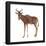 Hartebeest (Alcelaphus Caama), Mammals-Encyclopaedia Britannica-Framed Poster