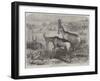 Hartebeeste Antelopes-Friedrich Wilhelm Keyl-Framed Giclee Print