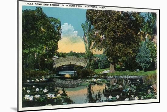 Hartford, Connecticut - Elizabeth Park Lily Pond and Bridge-Lantern Press-Mounted Art Print