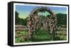 Hartford, Connecticut - Elizabeth Park View of the Rose Arches-Lantern Press-Framed Stretched Canvas