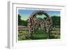 Hartford, Connecticut - Elizabeth Park View of the Rose Arches-Lantern Press-Framed Art Print