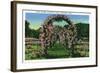 Hartford, Connecticut - Elizabeth Park View of the Rose Arches-Lantern Press-Framed Art Print