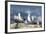 Hartlaub's Gulls-Peter Chadwick-Framed Premium Photographic Print