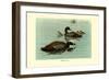 Hartlaus's Teal-Louis Agassiz Fuertes-Framed Art Print