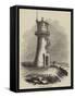 Hartlepool Lighthouse-null-Framed Stretched Canvas
