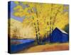 Hartman’s Place-Mike Kelly-Stretched Canvas