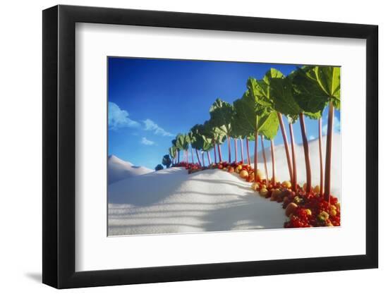 Premium Photographic Print, , large