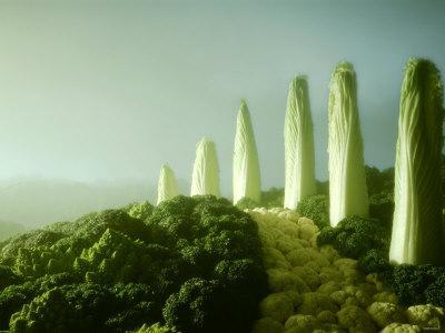 Landscape Made of Green Vegetables