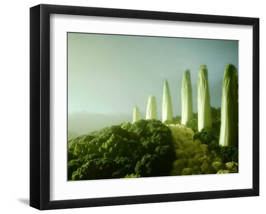 Premium Photographic Print, , large
