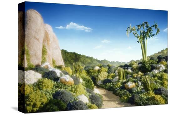 Stretched Canvas Print, , large