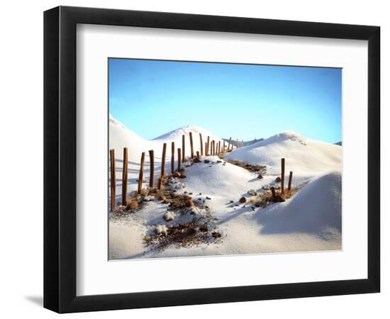 Premium Photographic Print, , large