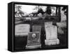 Hartsdale Canine Cemetery-Philip Gendreau-Framed Stretched Canvas